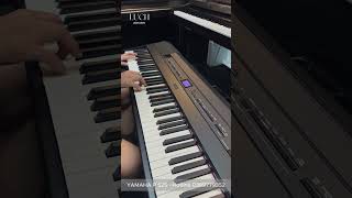 ĐÀN PIANO ĐIỆN YAMAHA P525 l SOUND E.PIANO VINTAGEI l Demo Piano l LUCH Piano