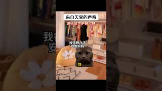 多希望能再听到你的声音#脑洞大开 #爽文 #搞笑 #故事