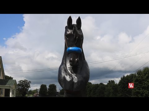 Start to Finished: Old Friends Farm Chainsaw Sculpture | News-Graphic