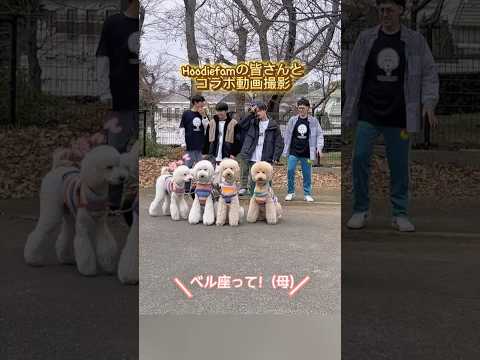 Kogal girls in front of their favorite #beloveddog #hoodiefam #lifewithdogs #poodle