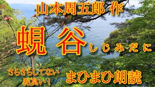 蜆谷　山本周五郎 作　朗読：まひまひ　＃感涙　＃まひまひ朗読　＃関ケ原の戦い　＃石田三成　＃井伊直正