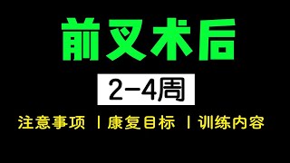 前交叉韧带重建术后 2-4周康复训练计划（注意事项+康复目标+训练内容）