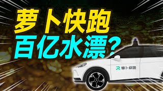 六大问题聊透萝卜快跑？【大小马聊科技67】