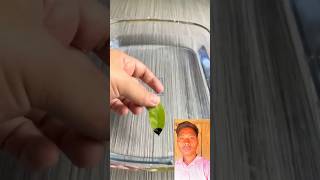 Pen ink experiment #lifehacks