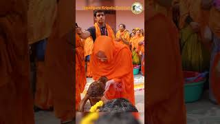 Gopashtami at Jagadguru Kripalu Parishat 09.11.2024 #jagadgurukripaluparishat