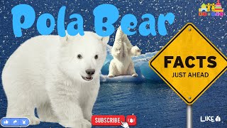 Cool Polar Bear Facts for Kids  | Fun Arctic Animal Facts! #funfactsforkids
