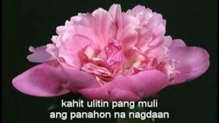 Awit kay Kleyr - Butch Charvet