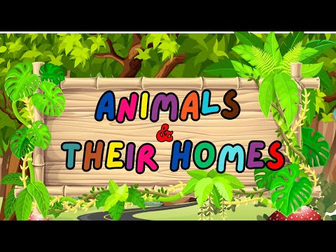 🏠 Where Do Animals Live? | Learn Animal Homes for Kids | Kids ABC