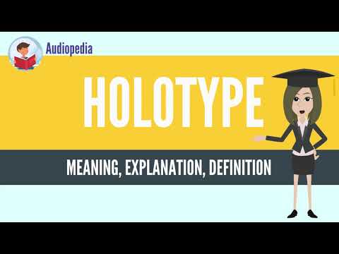 What Is HOLOTYPE? HOLOTYPE Definition & Meaning