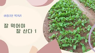 [건강강의] 잘 먹어야 잘 산다 1[중장년층] -육체적건강 심리적안정감 관계건강 생애설계_169
