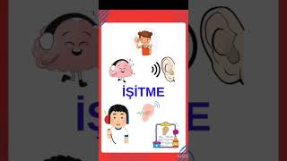 Writing Workshop Activities