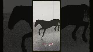 "Luna - قمر " Today @ 11:11PM GMT #rapmaroc