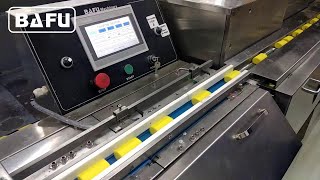 soap packaging machine, soap wrapping machine, automatic packaging machine, high speed flow wrapper