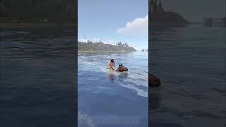 swimming horses coming to rust
