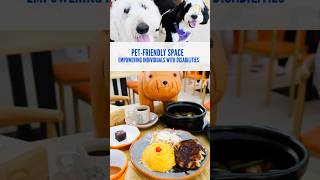 Bailey & Patch Café Offers Pet-Friendly Dining with a Purpose #sgcafe #danielfooddiary #dogcafe