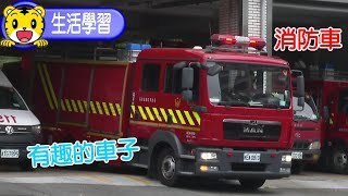2025年2月號幼幼版【我的新發現】有趣的車子