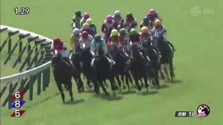 新京都競馬場 初レース 2023年4月22日京都1R