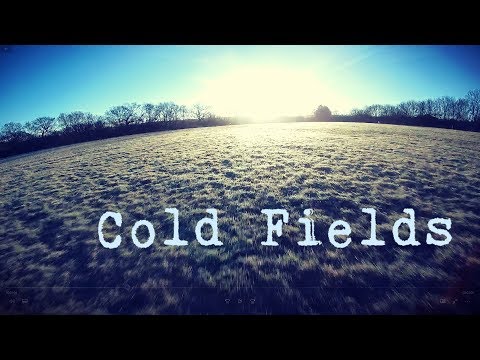 Just fields... PID tuning saga (Wizard x220)