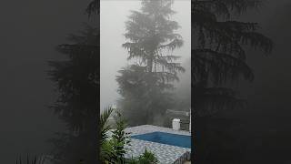 YASA HOMESTAY Pauri Uttarakhand 💙🤎 #song #music #mountain traveler #https://linktr.ee//yasapauri