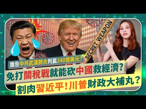 川普免打世界對等關稅戰就能救財政？【全球吸血習近平！經濟大補丸】美國能減少向各國開地圖炮，光割肉中共就有機會獲利上兆美金？誰武漢肺炎求償強國240億美元勝訴？美債土地都能賠國際政經195中國仆街133