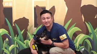 2019.06.02 (崔建邦犬兒)武藏玩轉電視城