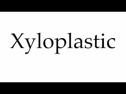 How to Pronounce Xyloplastic