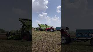 #viralvideo #automobile #farmerstruggle #childrenssong #farming #marwadilife #farmersong #farmersong