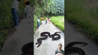 Draw a snake on the road, passers-by are scared when they see it#3d#3dartworld #3d #3dart #3ddrawing