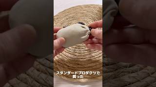 スタンダードプロダクツで買った(くしゅっとコンパクトエコバッグ)あっという間にしまえるよ！