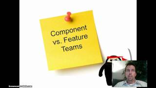 Component vs Feature Agile Teams