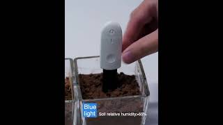 soil moisture detector