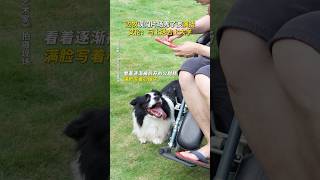 艾伦：终究是我错付了！#搞笑 《火锅艺术家》#喜剧 #电影解说