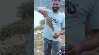 #fishing #wired2fish #fishspecies #fish #twofish #freshwaterfish #nature #tworiversmall #riverfish