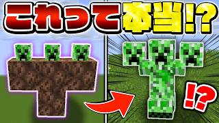 【マイクラ】ウソみたいなチート裏技を検証したら面白すぎたｗｗｗ【Minecraft・マインクラフト】