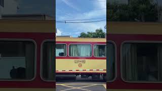 阿里山小火車#小火車#嘉義#阿里山