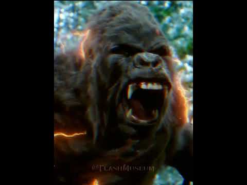 Barry - Now i am gorilla flash 〽️
