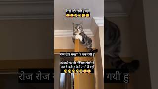 cat comedy #funny cat short#trending #funny #comedy #cat #catkitten 99#catvideos