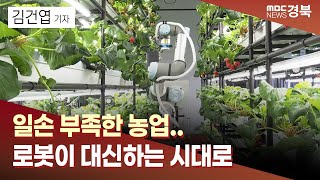 [R]일손 부족한 농업..로봇이 대신하는 시대로 / 안동MBC