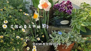 半年没打理的花园，现在是什么样？