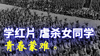 【家国记忆】08C:青春蒙难第八集: 在停课闹革命的日子里卞仲耘校长被红卫兵打死，我校的中学生刑讯逼供团支书至其断气，我们经过武斗地区子弹从耳边呼啸而过，真是惊心动魄!!!(CC字幕) |
