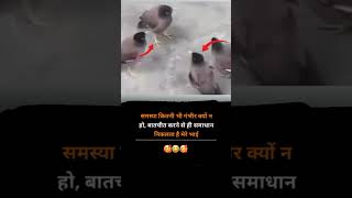 #motivation #heavenlbsnaa #upsc #motivational #motivationalquotes #shayri #yt #lbsnaa #sad #viral