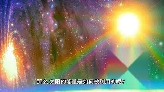 太阳的能量是如何被利用的？