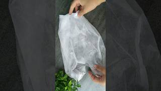 Waste Grapes Stem Craft amazing Idea 😍🥰 #shorts #youtubeshorts  #viral