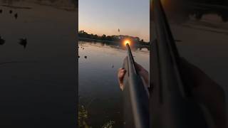 Solo wood duck gets smoked at 10 yards #duckhunting #waterfowl #woodduck