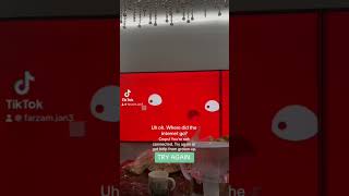 YouTube Kids - No Internet Connection in Shorts