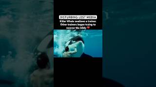 Shocking Footage Of Captive Killer Whale Attacking Trainers #killerwhale #whale #orca #cuteanimals