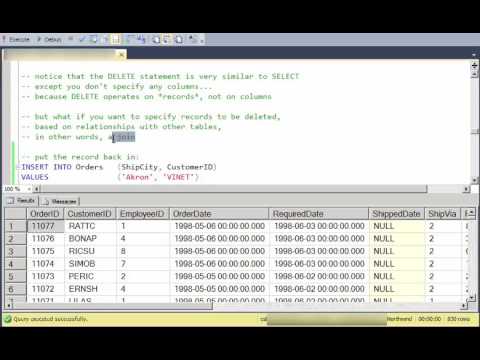The DELETE statement in SQL