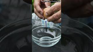 Easiest Egg Hack Youll Ever See