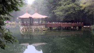 Chiayi Alishan, Taiwan 台灣 嘉義 阿里山
