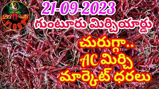(21 సెప్టెంబర్ 2023)గుంటూరు మిర్చి మార్కెట్ ధరలు|GUNTUR MIRCHI MARKET RATES|గుంటూరు మిర్చి యార్డు